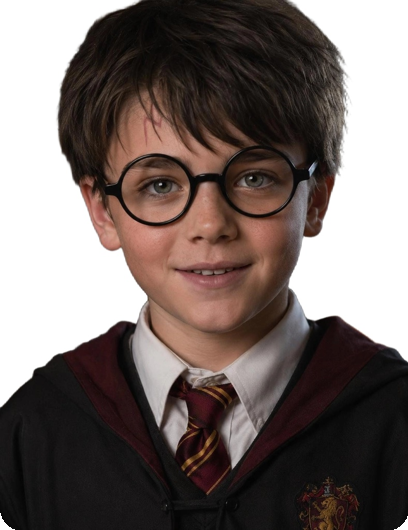 lunettes Harry Potter/ intello