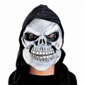 Mask skeleton