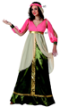 Medieval queen costume