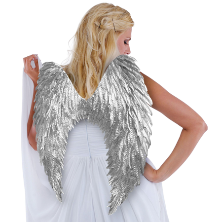 Metallic Silver Wings