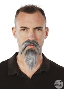moustache grise et barbiche