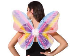 multicolor butterfly wings