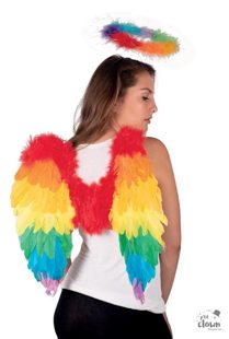 multicolor parrot wings