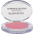 natural compact blush mallow rose