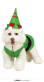 Noël onze costume pour chien