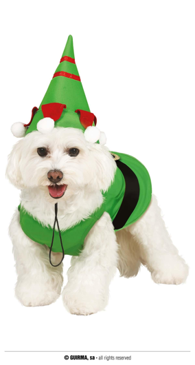 Noël onze costume pour chien