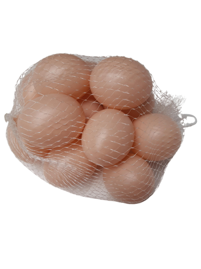 Oeufs 12 pièces