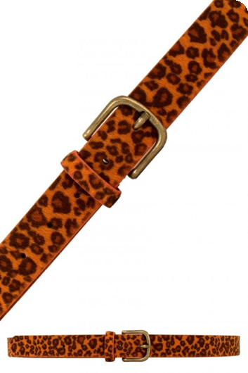 Orange leopard belt
