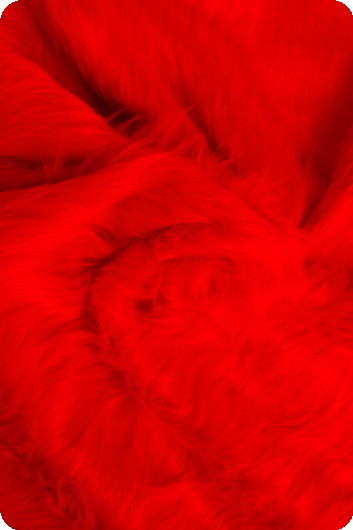 Peluche 2,5M
