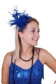 Pièce de cheveux bleue avec des plumes