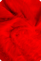 Plush fabric 2.5M
