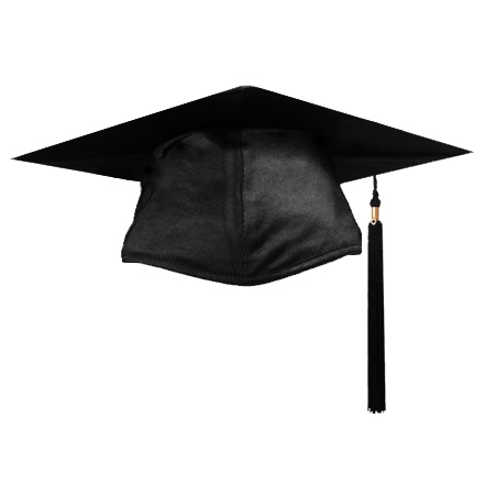 Professor/graduate/student Hat luxury