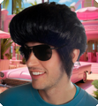 Pruik Elvis Rock and Roll zwart