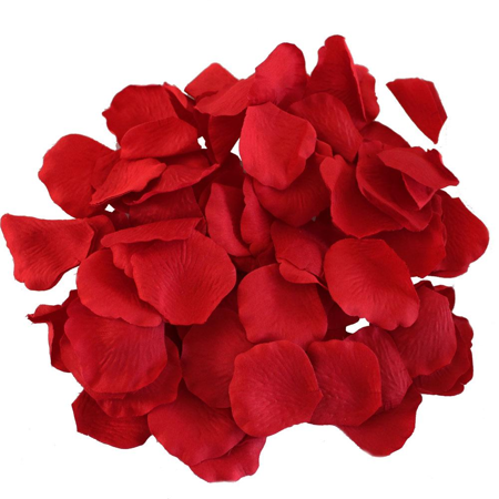 Pétales de fleurs rouges