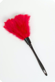 Red feather duster