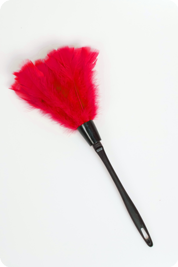 Red feather duster