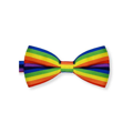 Regenboog strik / vlinderdas