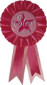 Rozet roze ’Ster van de dag’