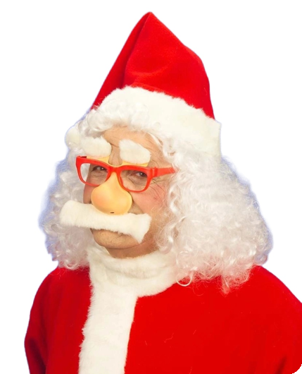 Santa Claus Glasses
