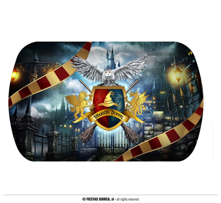 schaal Wizard 39x24 cm kunststof