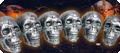 Set of 6 skulls