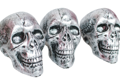 Set van 6 schedels doodshoofden