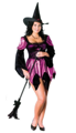 Sexy witch costume for ladies