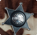Sheriff / cowboy ster
