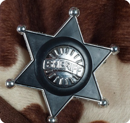 Sheriff / cowboy ster