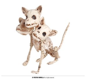 skelet hond 3 koppen 34 cm