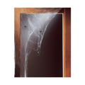 Spider Web 20gram