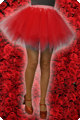 Tutu deluxe rood