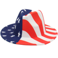 USA cowboy hat