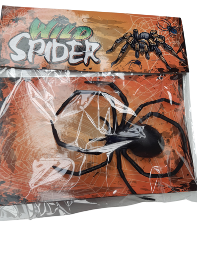 Veuve noire araignée