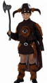 Viking Girl Costume