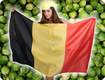 Vlag Belgie
