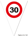 Vlaggenlijn 30 verkeersbord 5m