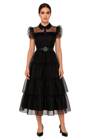 Wednesday evening gown for ladies