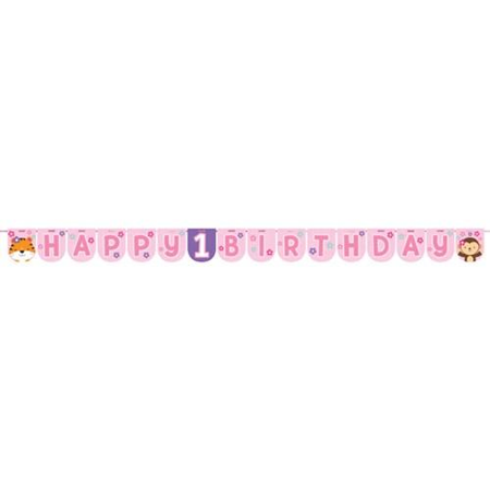 Wenslijn ‘HBD‘ one is fun girl (240cm)