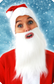 White beard 30 cm