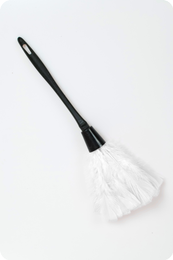 White feather duster