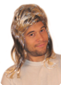 Wig with mullet Johnny