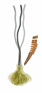 witch broom with sound and movement 100cm