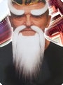 Witte baard en wenkbrauwen sensei