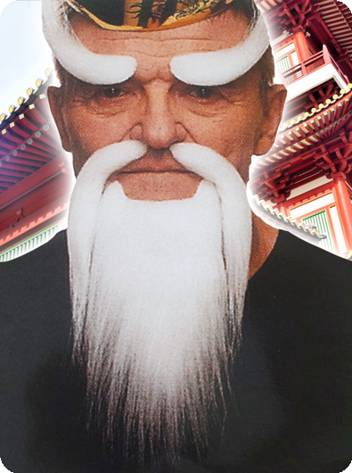 Witte baard en wenkbrauwen sensei