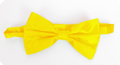 Yellow bow tie