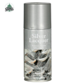zilveren deco spray