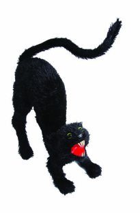 zwarte kat 60 cm