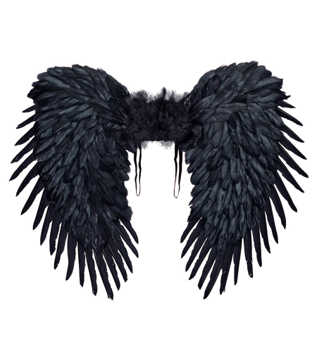 Zwarte luxe vleugels halloween